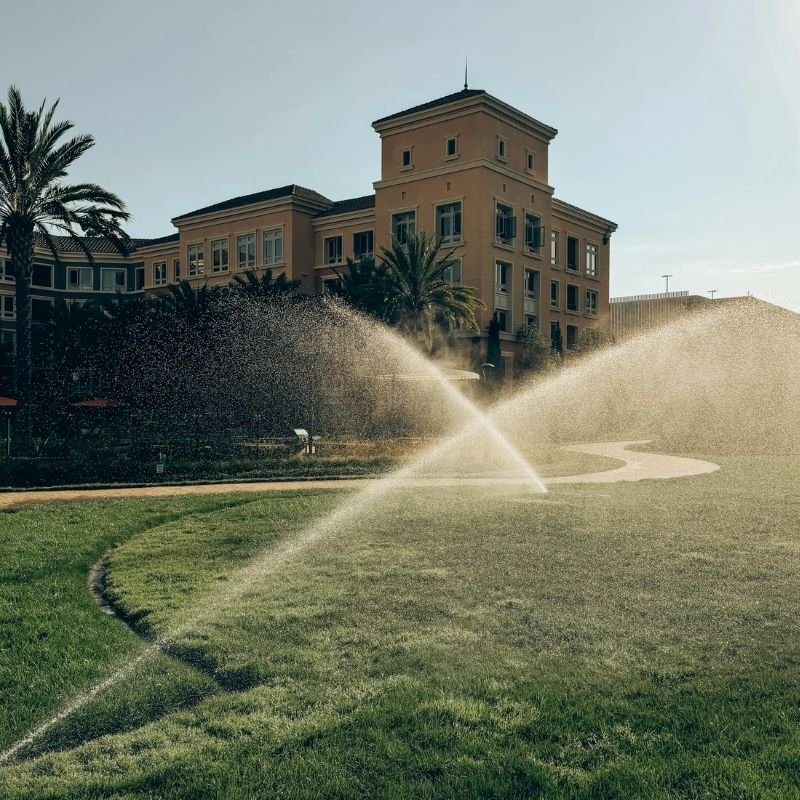 גינה והשקיה